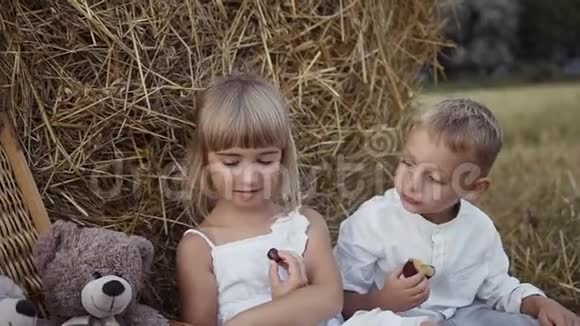 一个带着一个女孩走在田野里去水果的小家伙稻草堆视频的预览图