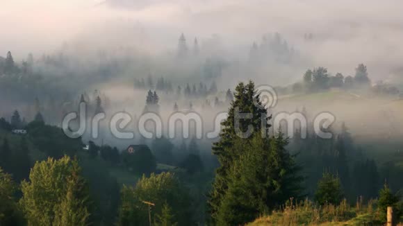 乌克兰喀尔巴阡山脉夏季的一个雾蒙蒙的早晨视频的预览图