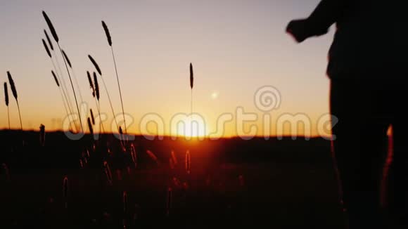 日落时分女人和女孩在夕阳下慢跑剪影映衬着夕阳视频的预览图