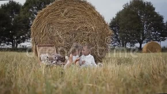 田间的稻草捆一个小男孩和女孩得到水果在野外野餐视频的预览图