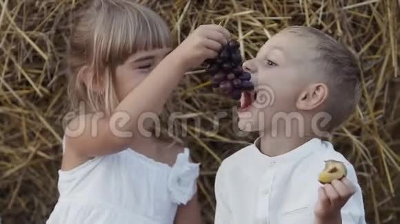 小女孩和男孩在田里吃葡萄幸运的孩子们坐在稻草堆下的田野里日落视频的预览图