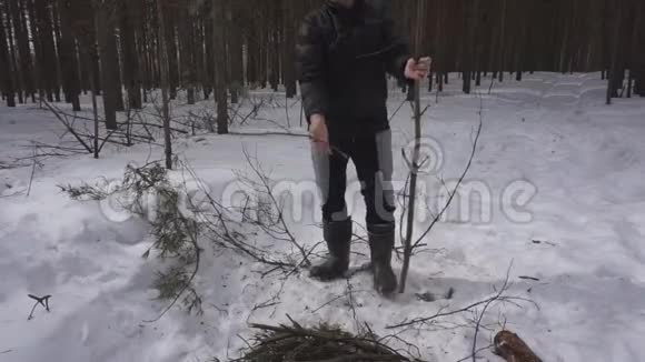 林中一堆劈柴准备过冬的柴火视频的预览图