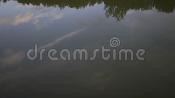 在一个小小的渔塘上一个雾蒙蒙的早晨视频的预览图