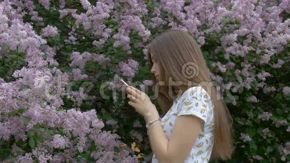 一个漂亮的女孩正在给一棵丁香树拍照欣赏美丽的花朵呼吸着美丽的芬芳视频的预览图