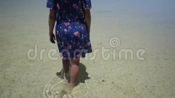 在壳牌海滩旅游视频的预览图