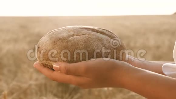 手掌上有一块面包女孩手中的面包在麦田上新鲜黑麦面包成熟的耳朵视频的预览图
