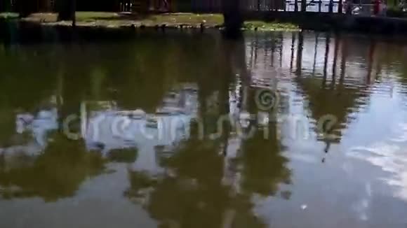 湖岸上的宝塔视频的预览图