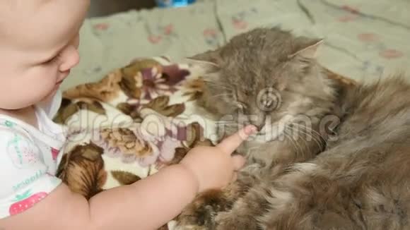 可爱的小女孩和猫视频的预览图