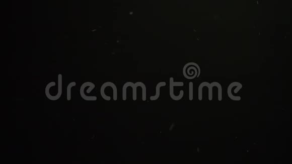 无缝视频雪花在夜间落下视频的预览图