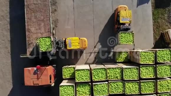 收获苹果小装载机叉车机器装载一辆大卡车装满大木箱的货车视频的预览图