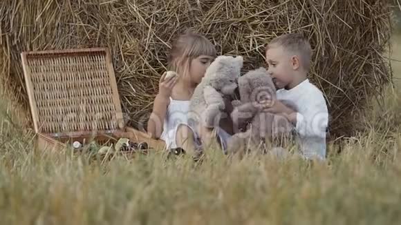 男孩和女孩是由玩具熊玩的领域里快乐的孩子日落视频的预览图