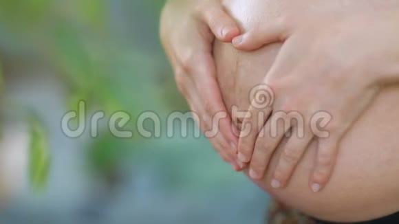 年轻的孕妇在花园里和孩子们爱抚她的肚子视频的预览图