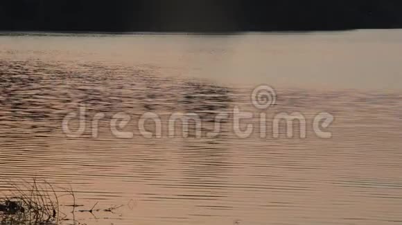 日落时分泰国王邦水库的水面荡起涟漪视频的预览图