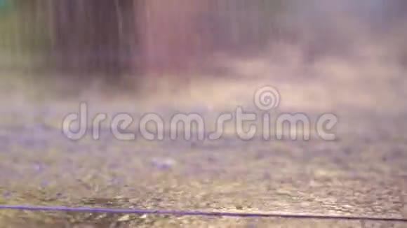 热带雨林雨点落在木地板上慢镜头视频的预览图