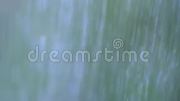 热带雨林雨点落在木地板上慢镜头视频的预览图