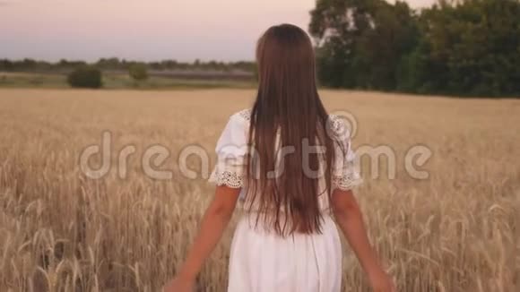 女人在田野里旅行生态旅游的概念一个快乐的女孩走过一片黄麦地触摸到视频的预览图