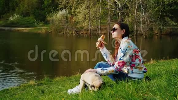 她和他最喜欢的小狗休息一个女人坐在湖边的草坪上在狗旁边吃快餐视频的预览图