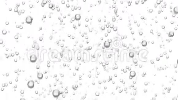 美丽的水气泡上升可循环三维动画的火花水在白色和黑色背景高清1080视频的预览图