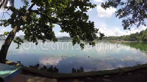 山湖上树木和植被的观点跟踪射击视频的预览图