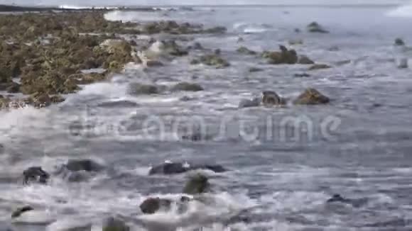 印度洋低潮时的珊瑚礁马尔代夫视频视频的预览图