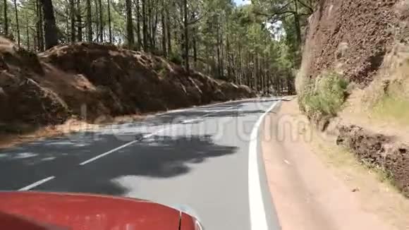 波夫开车穿过山区的松林观点驾驶从车内看松林上夏天视频的预览图