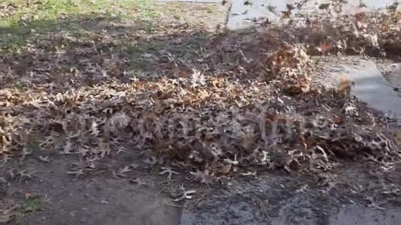 在秋天人们用扫帚从树叶中清理领地视频的预览图