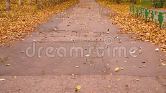 风吹着秋天的树叶在城市公园的小路上慢动作秋天的落叶视频的预览图
