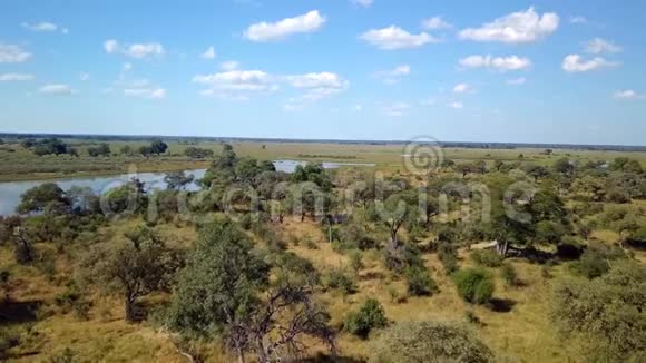 纳米比亚南布瓦非洲河流景观视频的预览图
