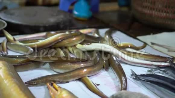 女人在柜台上散布大量鳗鱼越南市场柜台上的新鲜鱼鱼市里视频的预览图