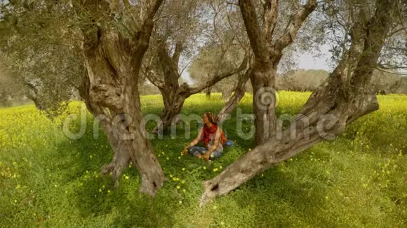 一个戴着红领巾和戴着黑眼镜的女孩正坐在一个橄榄园的中央上面长满了黄花绿草视频的预览图