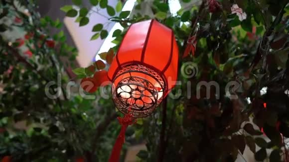 中国红灯笼的慢动作特写农历新年概念中国新年理念视频的预览图