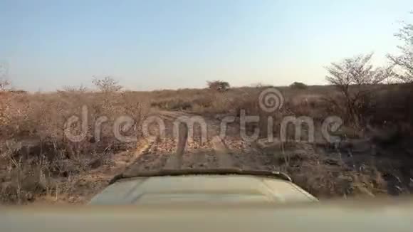 吉普车沿着灌木丛之间的沙路行驶视频的预览图