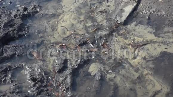 灰色地面上的水流视频的预览图