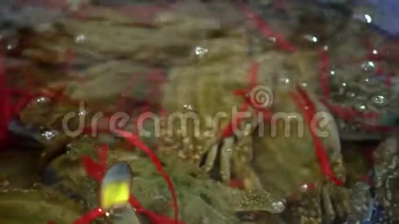 把相连的螃蟹放进一个装有水的桶里越南市场柜台上的新鲜鱼视频的预览图