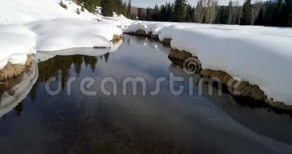 白雪覆盖并划出一条小溪通向森林视频的预览图