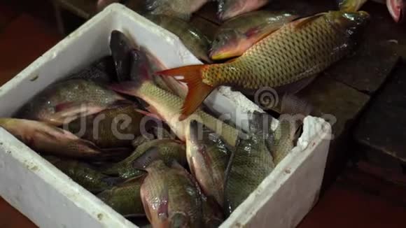 大量的活鱼还在泡沫箱里还有活鱼躺在集市的柜台上鱼市里视频的预览图