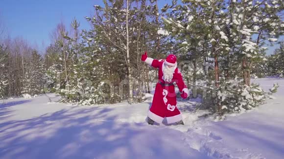 快乐的桑塔克劳斯在冬日的森林里跳跃跳舞欢庆慢动作视频的预览图