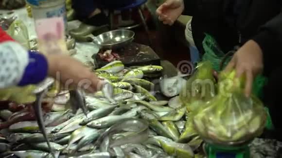 女人拿新鲜鱼在买家的包裹里越南越南市场柜台上的新鲜鱼视频的预览图