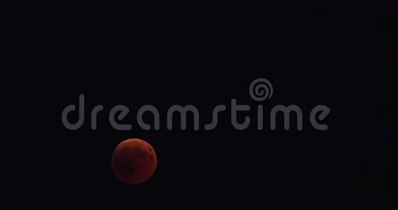 红月食视频的预览图
