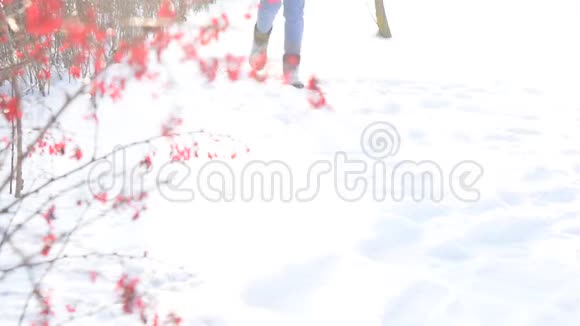 男人踢雪冬霜晴日寒冷的冬天视频的预览图