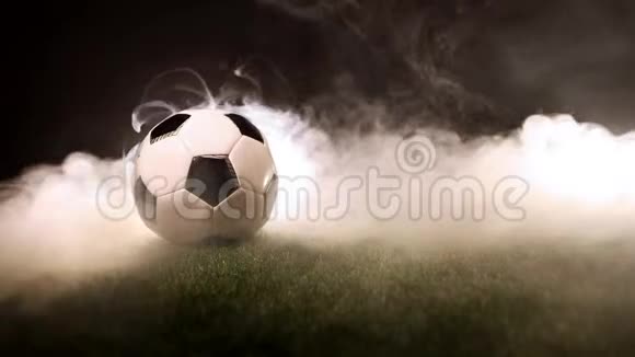 球站在烟雾周围的草地上视频的预览图