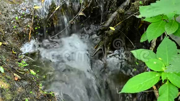 小瀑布清澈的河水视频的预览图