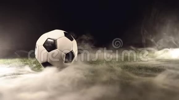 球站在烟雾周围的草地上视频的预览图