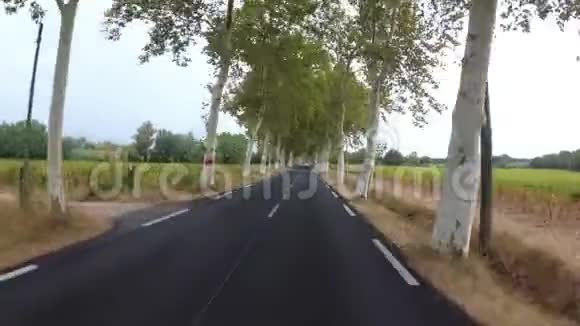 骑摩托车的人沿着法国风景优美的道路在树木之间骑车POV视频的预览图