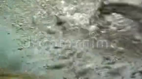 水下地中海视频的预览图