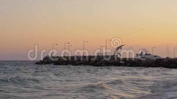 日落时有波浪海码头和飞翔的海鸥的水景视频的预览图
