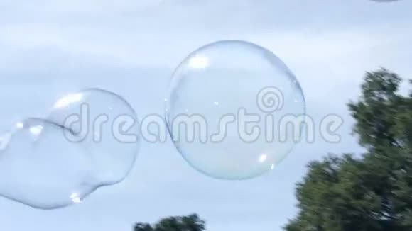 泡泡在公园里飞视频的预览图