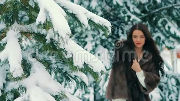 穿着棕色皮毛大衣的布鲁内特女孩从圣诞树的树枝上缓慢地刷雪视频的预览图