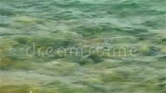 透明的海水自然美丽的背景视频的预览图