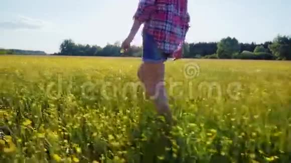 日落时分一个女人正沿着一片鲜花盛开的美丽的草地走着只能看到镜框里的腿视频的预览图